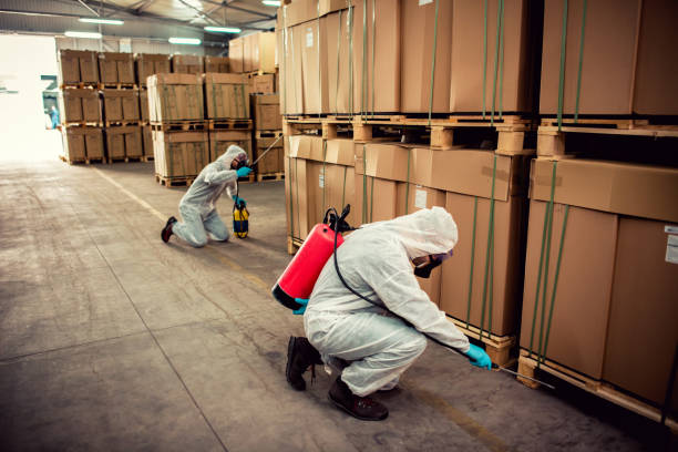 Reliable Akron, NY Pest Control Solutions