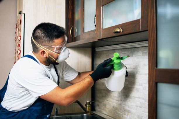 Best Mosquito Control Services  in Akron, NY