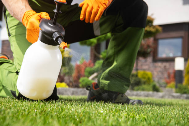 Best Pest Control Treatment  in Akron, NY