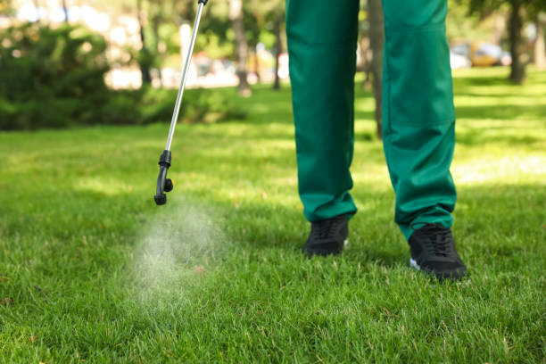 Best Pest Prevention Services  in Akron, NY