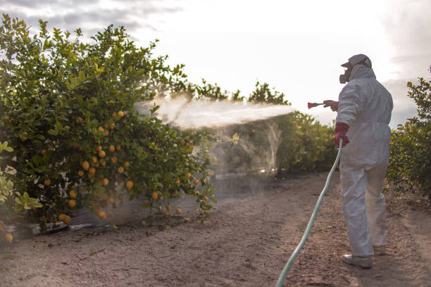Best Emergency Pest Control  in Akron, NY