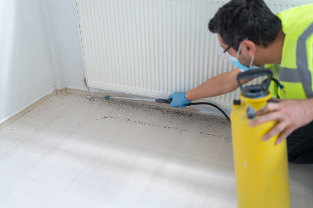 Best Exterminator Services  in Akron, NY